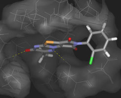 Ligand in PKA active site