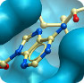 Histone Acetyltransferase target-focused library