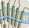 Histamine receptor focused library