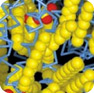 Kv1.5 Potassium Channel Blocker