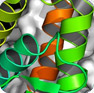 Nuclear receptor focused libraries