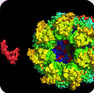 Protein-Protein Interaction Focused Libraries