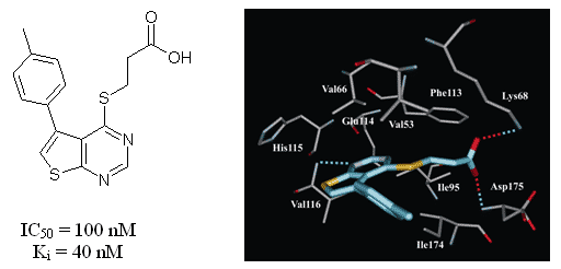 CK2 inhibitor