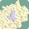 Cathepsin K Targeted Library