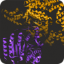 Pyrazolo[3,4-d]pyrimidines - Perspective Inhibitors of HDAC1 and mTOR