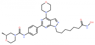 Pyrazolo[3,4-d]pyrimidines - Perspective Inhibitors of HDAC1 and mTOR