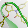 Beta-Turn Peptidomimetic Library