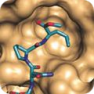 Peptidomimetic Libraries