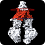 Tetrahydroisoquinoline Derivatives as Perspective Inhibitors of P-glycoprotein 1