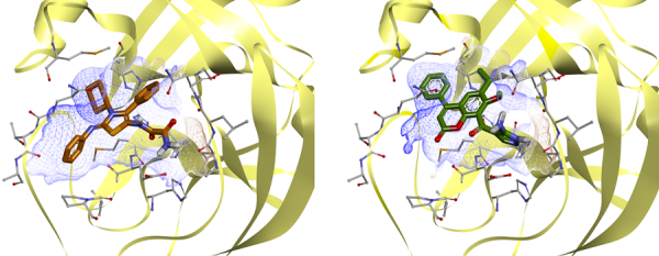 SARS-CoV-2 Targeted Libraries