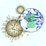 SARS-CoV-2 Helicase (NSP13) Targeted Library