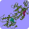 SARS-CoV-2 Nonstructural Protein 14 (NSP14) Targeted Library