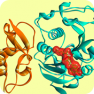 SARS-CoV-2 NSP16 Targeted Library