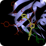 SARS-CoV-2 Papain-like Protease (PLpro) Targeted Library