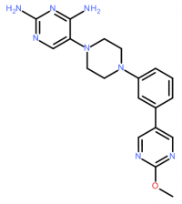 Arylpiperazines as Perspective T. gondii DHFR Inhibitors